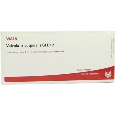 VALVULA tricuspidalis GL D 12 ampulių, 10X1 ml