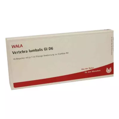 VERTEBRA lumbalis GL D 6 ampulės, 10X1 ml