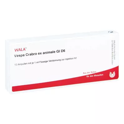 Vespa Crabro Ex Animale Gl D6 ampulės (10x1 ml) Vespa Crabro Ex Animale Gl D6 ampulės (10x1 ml)
