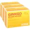 GINKGO BILOBA HEVERT Tabletės, 300 vnt