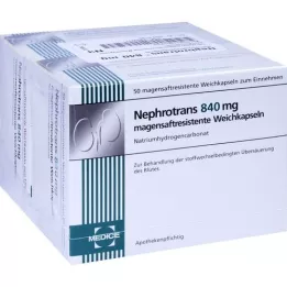 NEPHROTRANS 840 mg kapsulės su enteriniu apvalkalu, 100 vnt