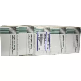 NEPHROTRANS 840 mg kapsulės su enteriniu apvalkalu, 500 vnt