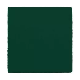 MULLKOMPRESSEN 10x10 cm 12x žalios spalvos, 100 vnt