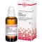 ACIDUM FORMICICUM D 12 skiedinys, 50 ml