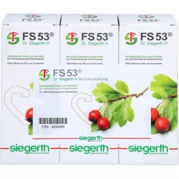 FS 53 Dr. Siegerth H skystis, 3X100 ml