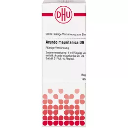 ARUNDO mauritanica D 6 skiedinys, 20 ml