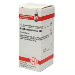 ARUNDO mauritanica D 6 rutuliukai, 10 g