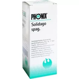 PHÖNIX SOLIDAGO spag. mišinys, 100 ml