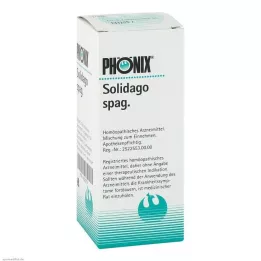 PHÖNIX SOLIDAGO spag. mišinys, 100 ml