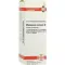 MANGANUM ACETICUM D 6 skiedinys, 20 ml