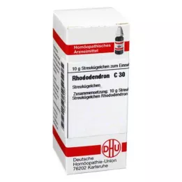 RHODODENDRON C 30 rutuliukų, 10 g