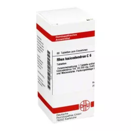 RHUS TOXICODENDRON C 6 tabletės, 80 kapsulių