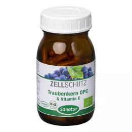OPC TRAUBENKERN & Vitamino C kapsulės, 90 vnt