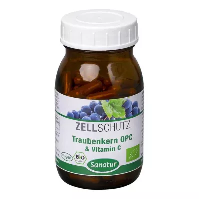 OPC TRAUBENKERN &amp; Vitamino C kapsulės, 90 vnt