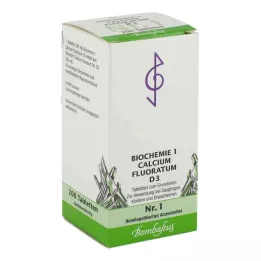 BIOCHEMIE 1 Calcium fluoratum D 3 tabletės, 200 kapsulių