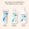 PHYSIOGEL Daily Moisture Therapy dušo kremas, 150 ml