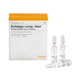 SOLIDAGO COMP.Kulno ampulės, 10 vnt