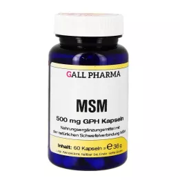 MSM 500 mg GPH kapsulės, 60 vnt
