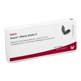 ISCUCIN abietis Krakmolo G ampulės, 10X1 ml