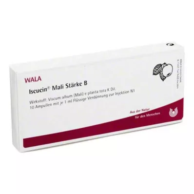 Iscucin Mali St.B ampulės, 10x1 ml