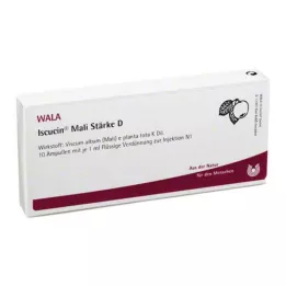 ISCUCIN mažasis krakmolas D ampulės, 10X1 ml