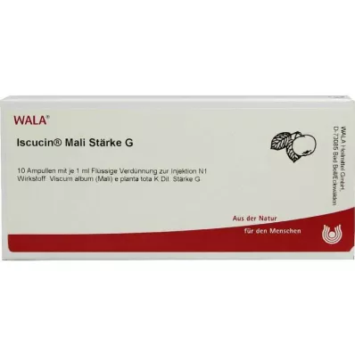 ISCUCIN Mali krakmolo G ampulės, 10X1 ml