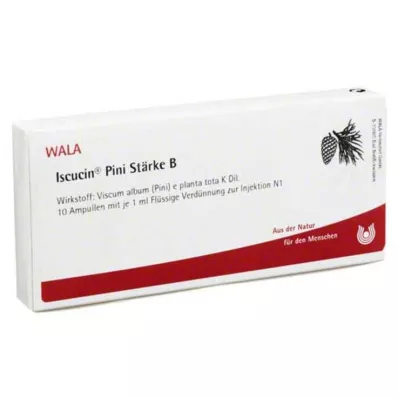 ISCUCIN pini krakmolo B ampulės, 10X1 ml