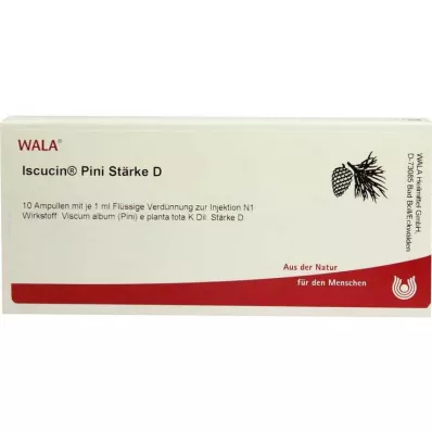 ISCUCIN pini Starch D ampulės, 10X1 ml