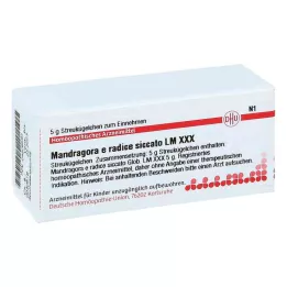 MANDRAGORA E radice siccata LM XXX Rutuliukai, 5 g