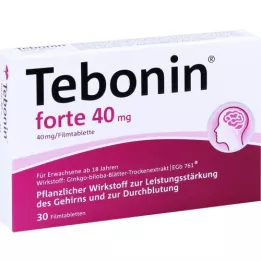 TEBONIN forte 40 mg plėvele dengtos tabletės, 30 vnt