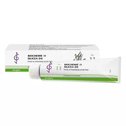 BIOCHEMIE 11 Silicea D 6 kremas, 100 ml