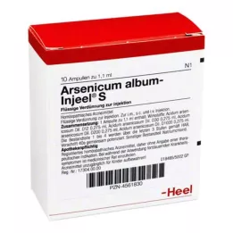 ARSENICUM ALBUM INJEEL S Ampulės, 10 vnt