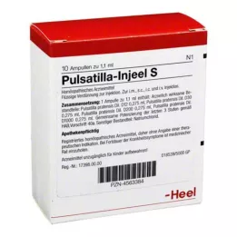 PULSATILLA INJEEL S Ampulės, 10 vnt