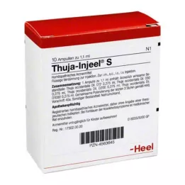 THUJA INJEEL S Ampulės, 10 vnt