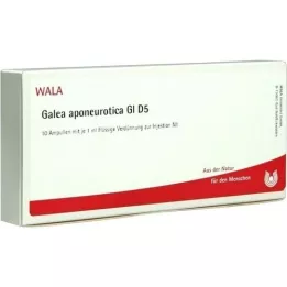 GALEA aponeurotica GL D 5 ampulės, 10X1 ml