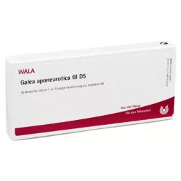 GALEA aponeurotica GL D 5 ampulės, 10X1 ml