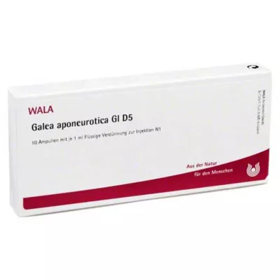 GALEA aponeurotica GL D 5 ampulės, 10X1 ml
