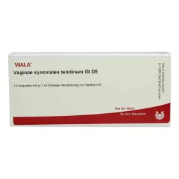 VAGINAE sinovinis tendinum GL D 5 ampulės, 10X1 ml