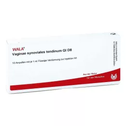 VAGINAE sinovijos tendinum GL D 8 ampulės, 10X1 ml