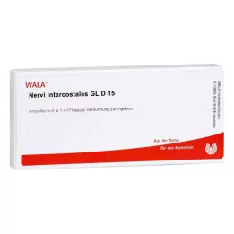 NERVI intercostales GL D 15 ampulių, 10X1 ml