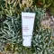 ALOE VERA CREME terpė be kvapiųjų medžiagų, 30 ml
