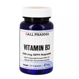 VITAMIN B3 100 mg GPH Kapsulės, 60 kapsulių