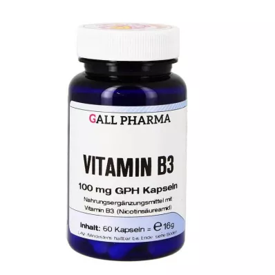 VITAMIN B3 100 mg GPH Kapsulės, 60 kapsulių