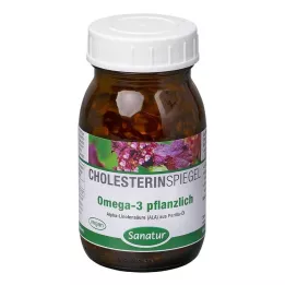 OMEGA-3 FETTSÄUREN 100% augalinės kapsulės, 120 kapsulių