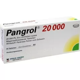PANGROL 20 000 enterinėmis plėvele dengtų tablečių, 50 vnt