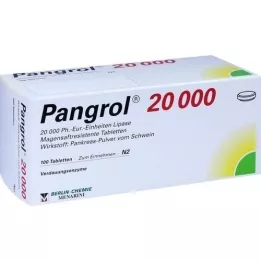 PANGROL 20 000 enterinėmis plėvele dengtų tablečių, 100 vnt