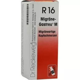 MIGRÄNE-GASTREU M R16 mišinys, 50 ml