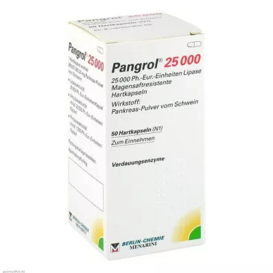 Pangrol 25000 kietos kapsulės su skrandyje neiriu apvalkalu, 50 vnt Pangrol 25000 kietos kapsulės su skrandyje neiriu apvalkalu, 50 vnt