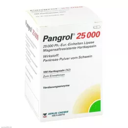 Pangrol 25000 kietos kapsulės su skrandyje neiria danga, 100 vienetų