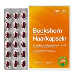 BOCKSHORN+Mikroelementų kapsulės plaukams Tisane plus, 60 vnt